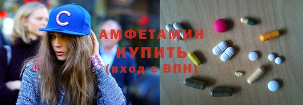 ПСИЛОЦИБИНОВЫЕ ГРИБЫ Богданович