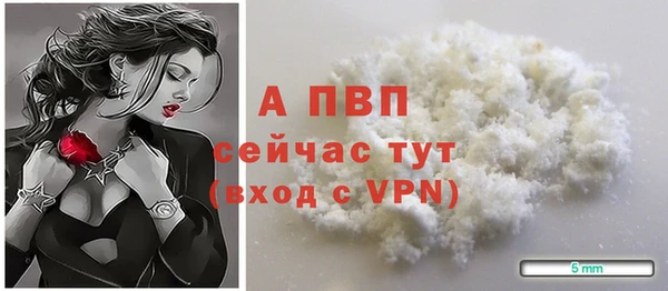 ПСИЛОЦИБИНОВЫЕ ГРИБЫ Богданович