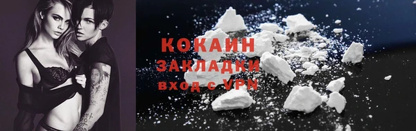 ПСИЛОЦИБИНОВЫЕ ГРИБЫ Богданович