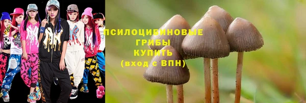 PSILOCYBIN Богородск