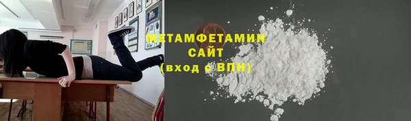 ПСИЛОЦИБИНОВЫЕ ГРИБЫ Богданович