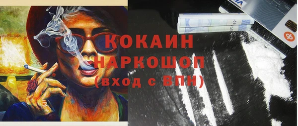 ПСИЛОЦИБИНОВЫЕ ГРИБЫ Богданович