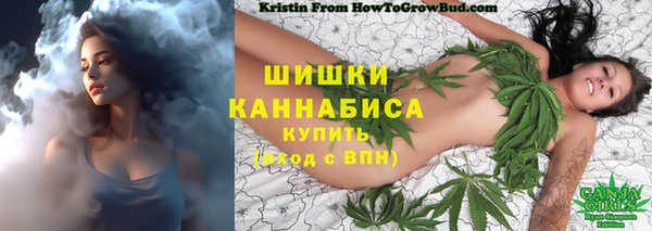 гашик Богородицк