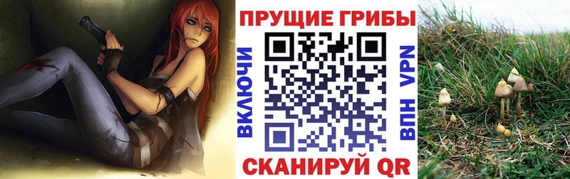 hydra ссылка  Медвежьегорск  Галлюциногенные грибы Magic Shrooms  купить  сайты 